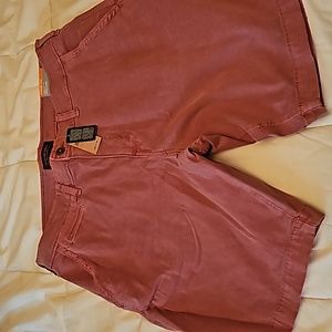 American Eagle Extreme flex shorts